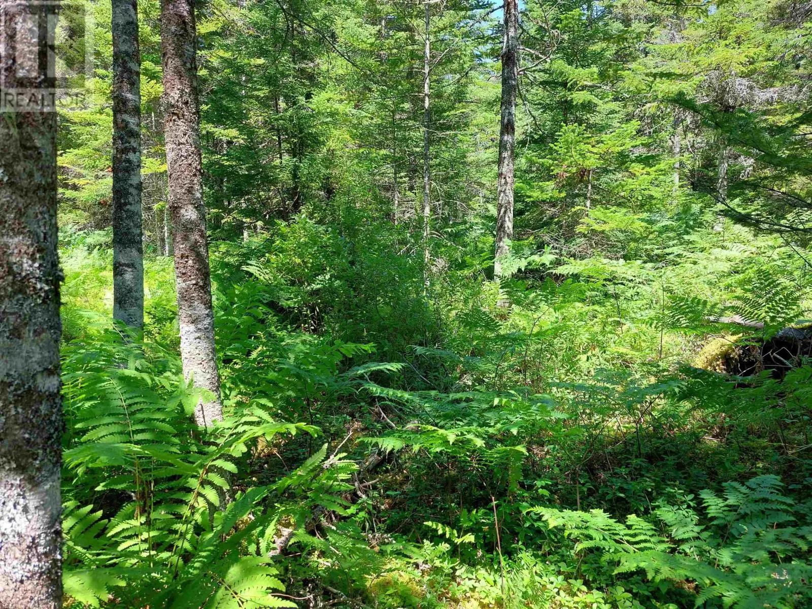 Lot 47E Widow Point Loop