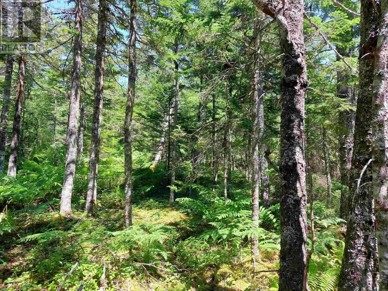 Lot 47E Widow Point Loop