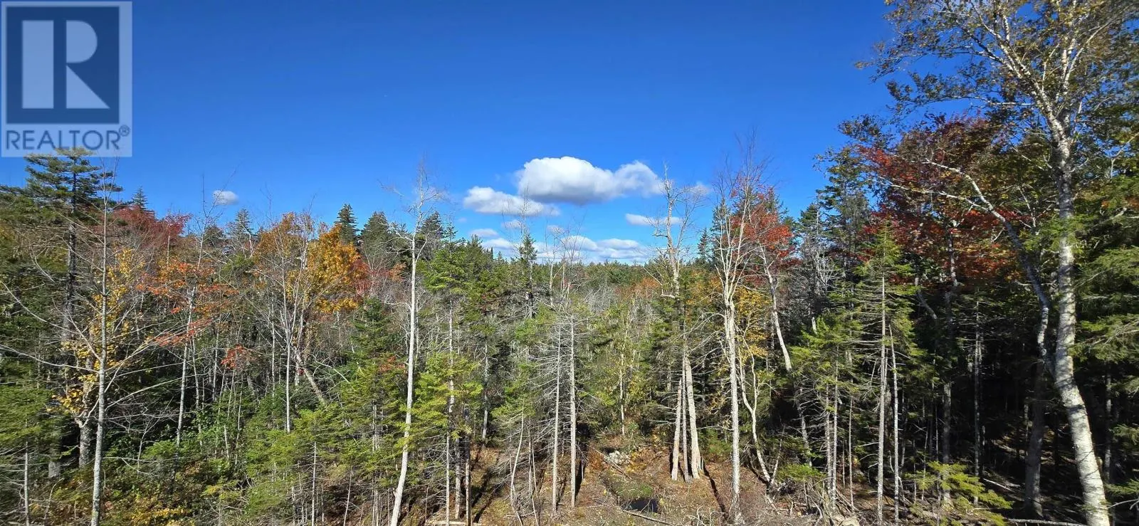 15 Yellow Birch Lane