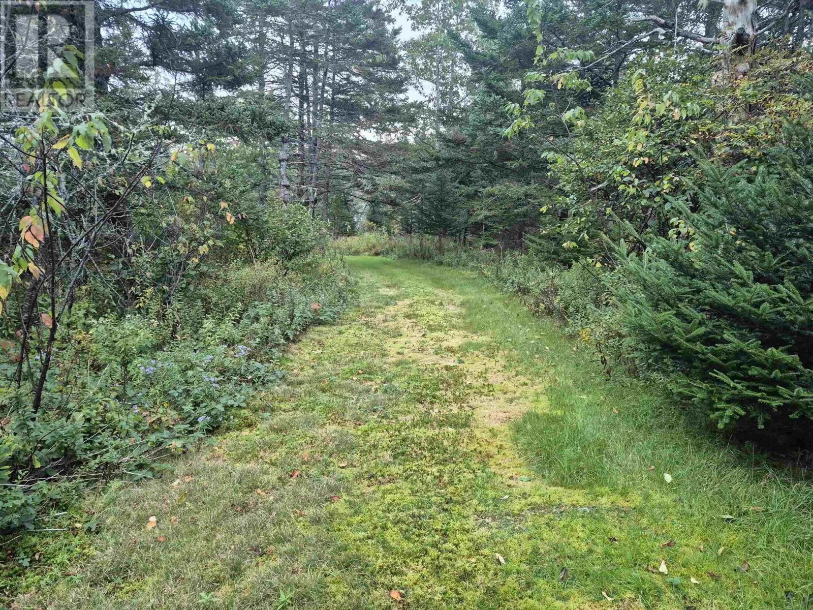 588 Isaacs Harbour Road