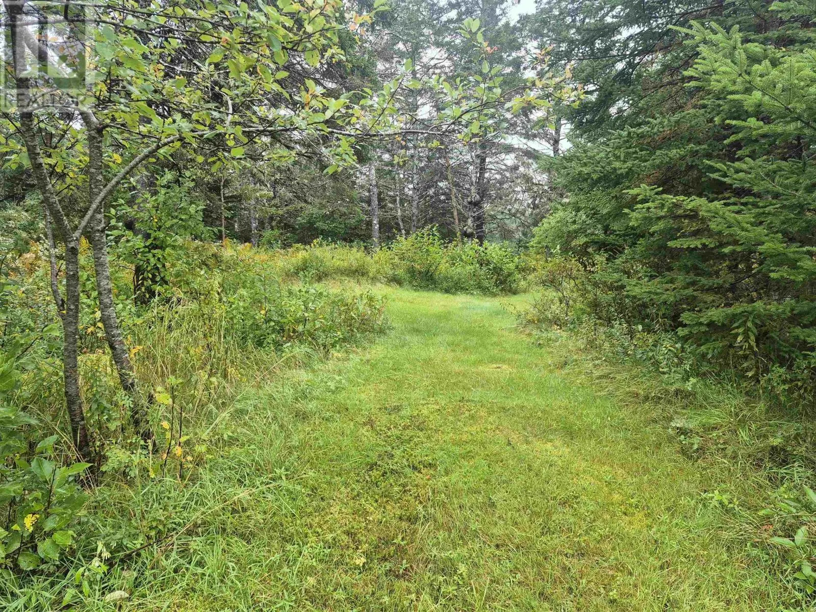 588 Isaacs Harbour Road