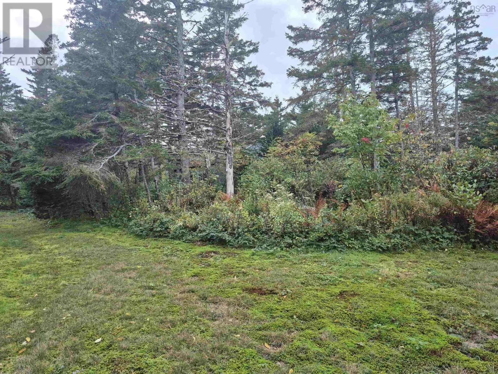 588 Isaacs Harbour Road