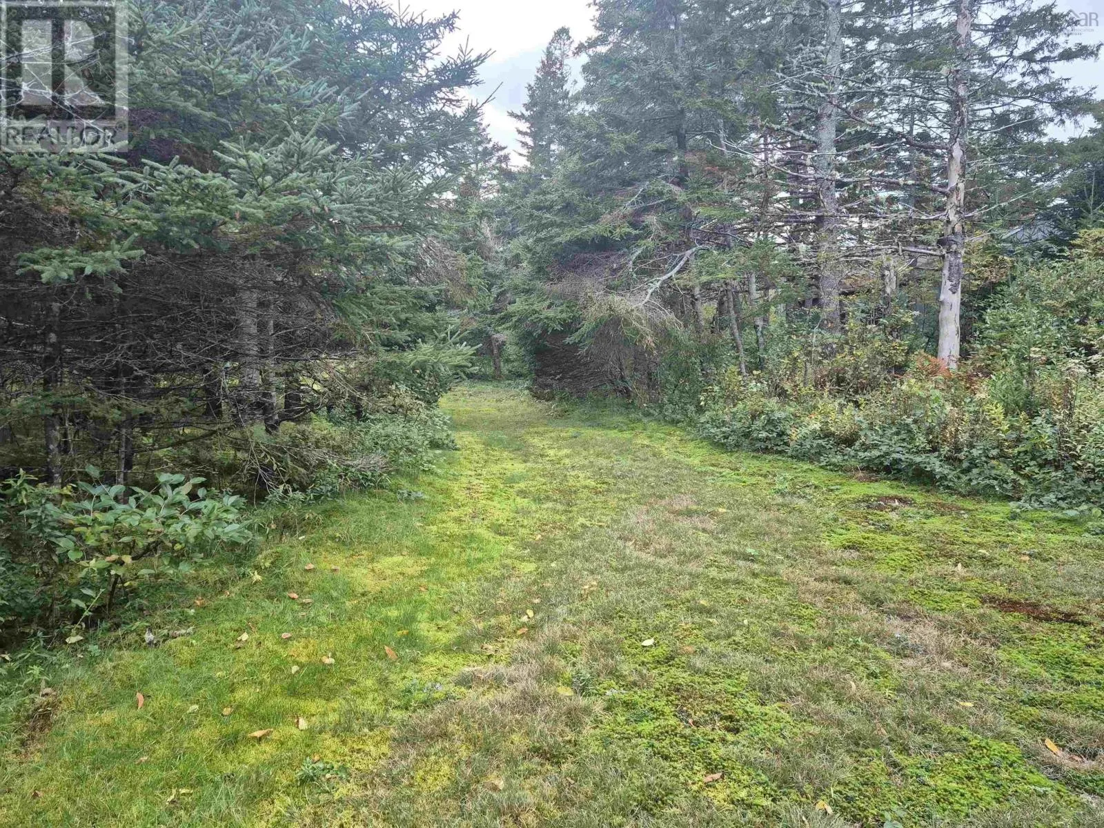 588 Isaacs Harbour Road