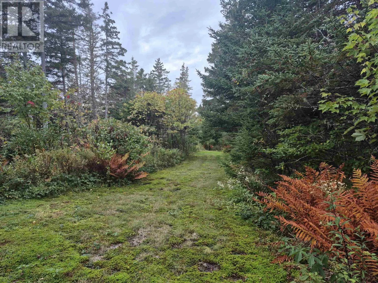 588 Isaacs Harbour Road