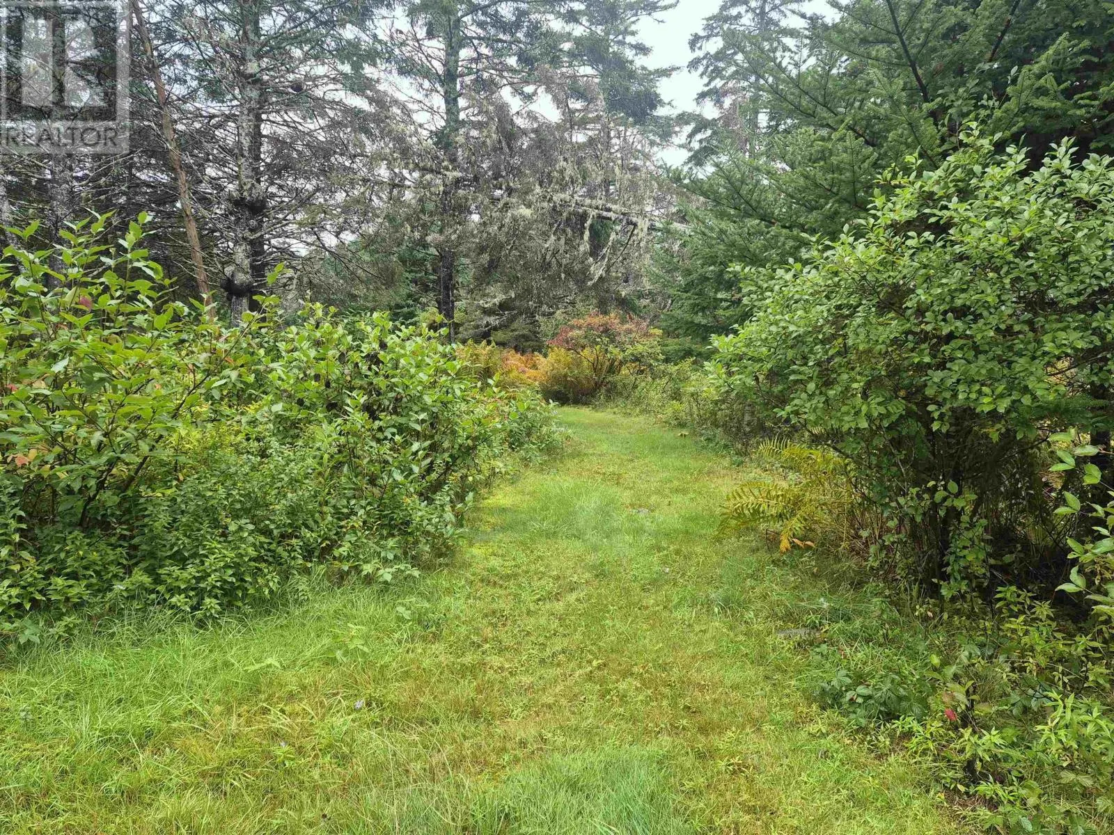 588 Isaacs Harbour Road