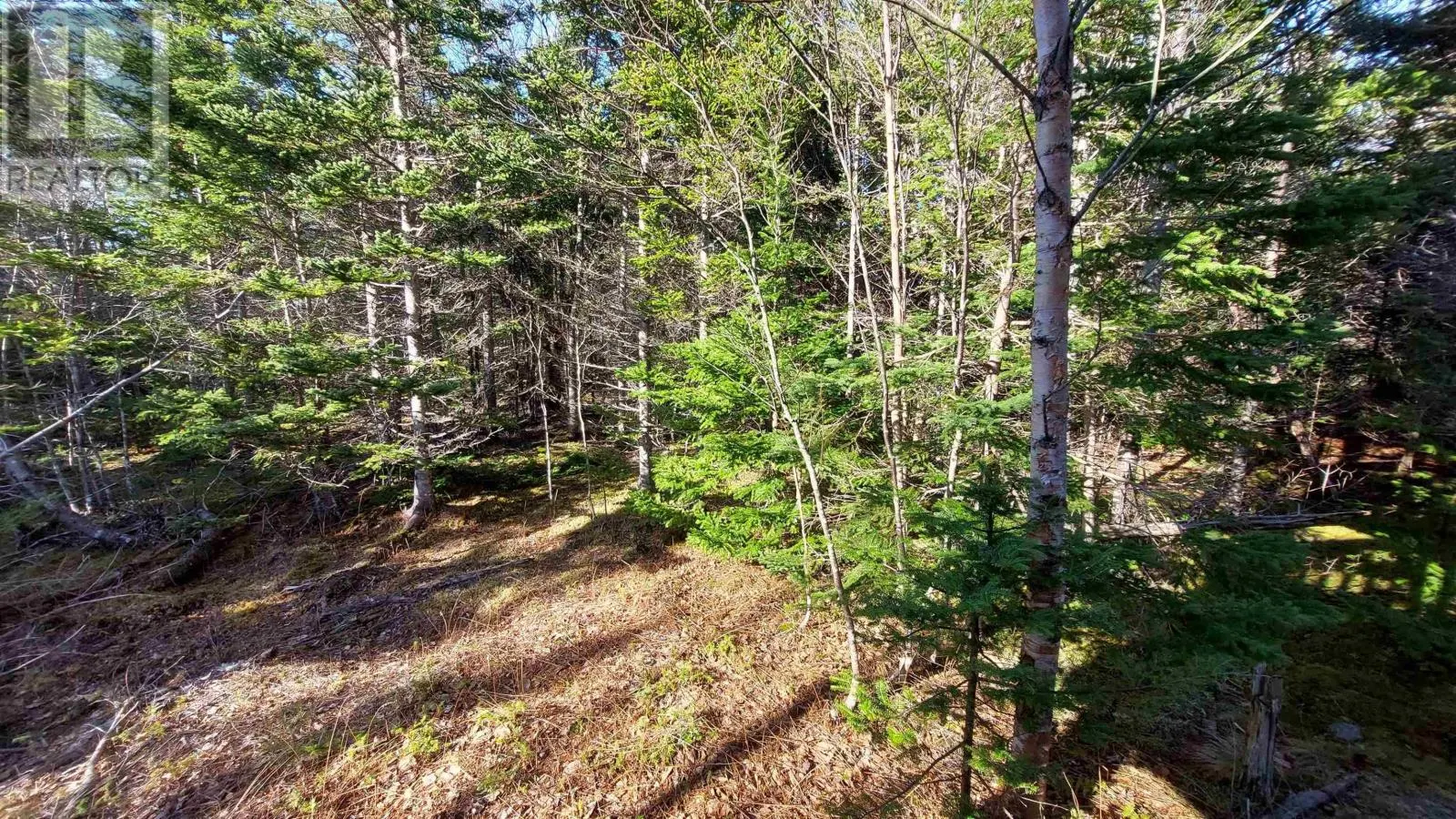 Lot 74-75 Peter Sosna Dr