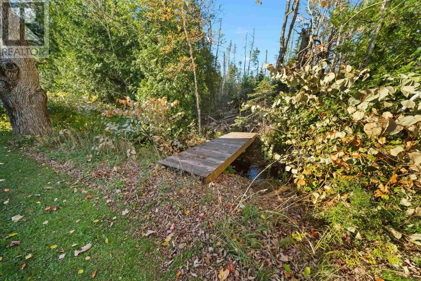 879 Ellerslie Road