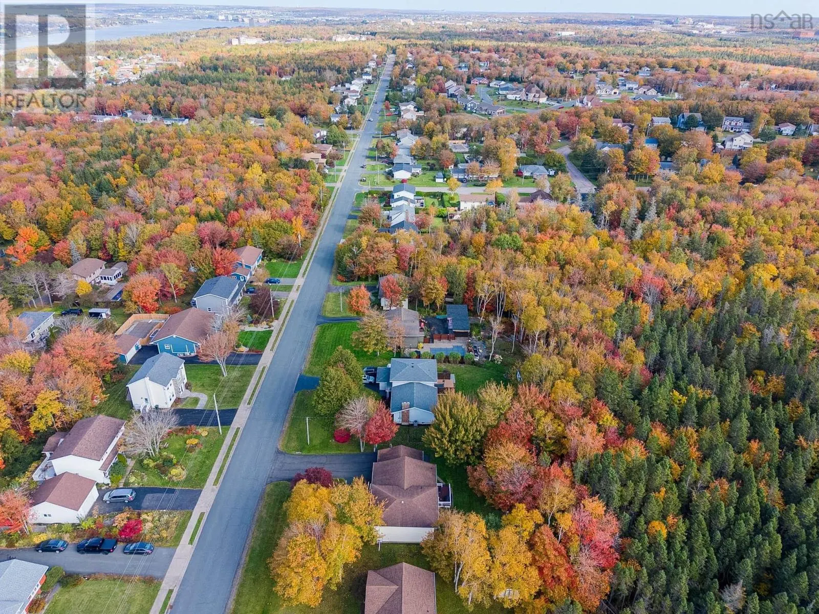 35 Carmichael Drive