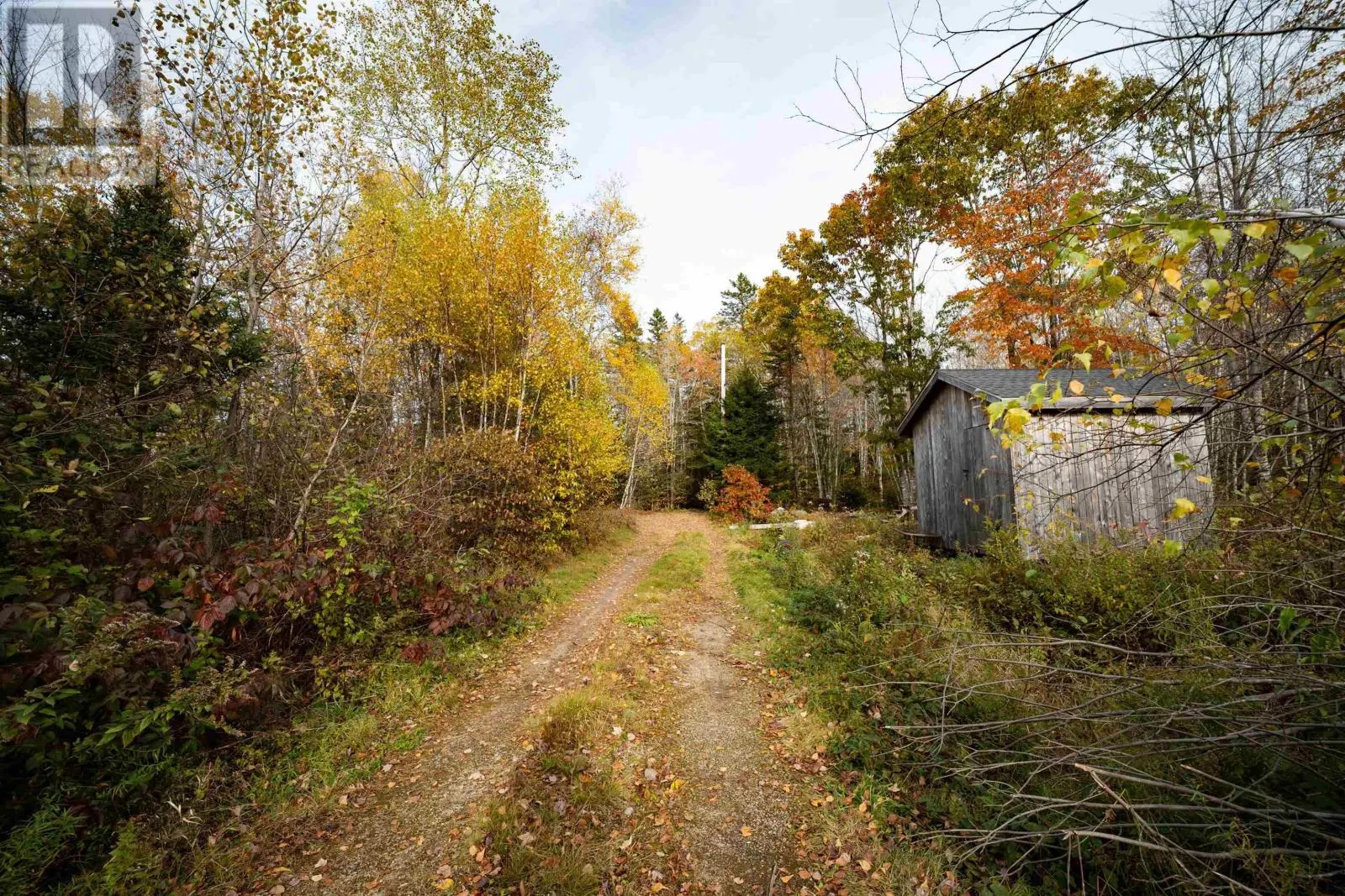 Mill Road