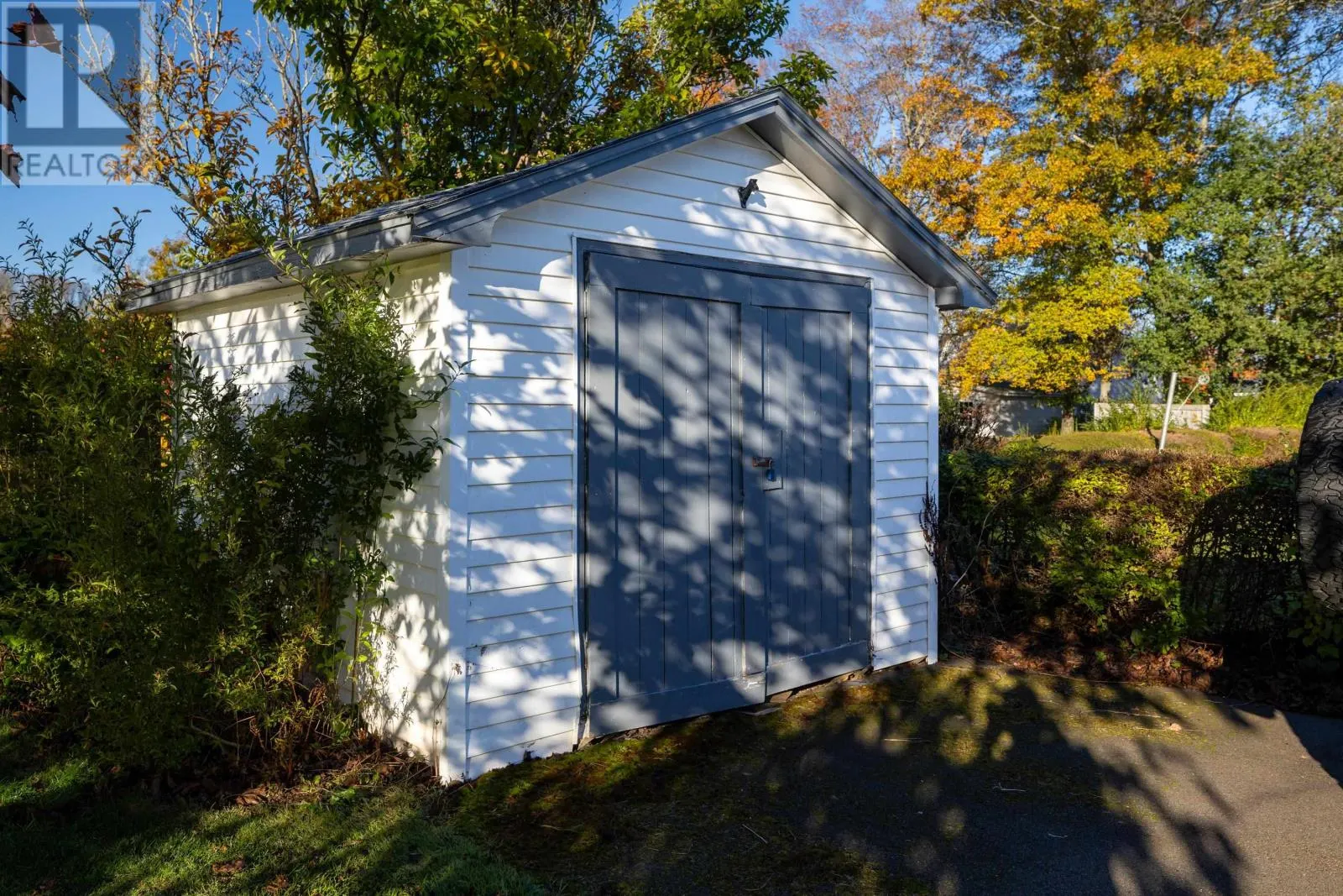 11 Johnson Avenue