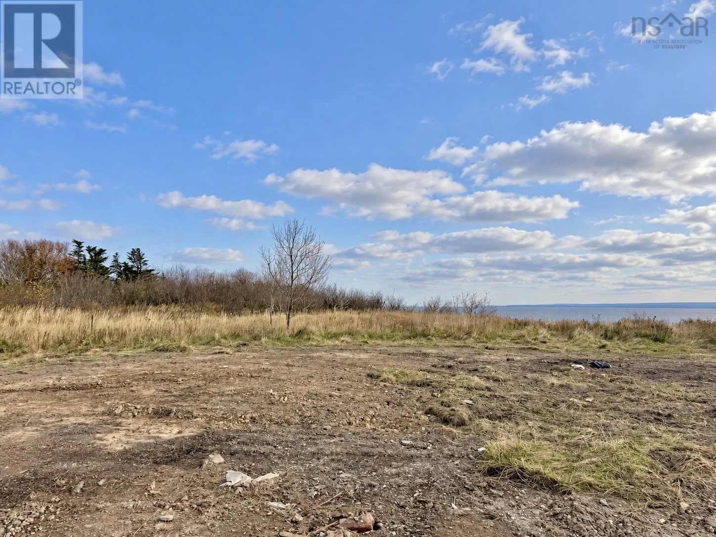 345 Lower Cove