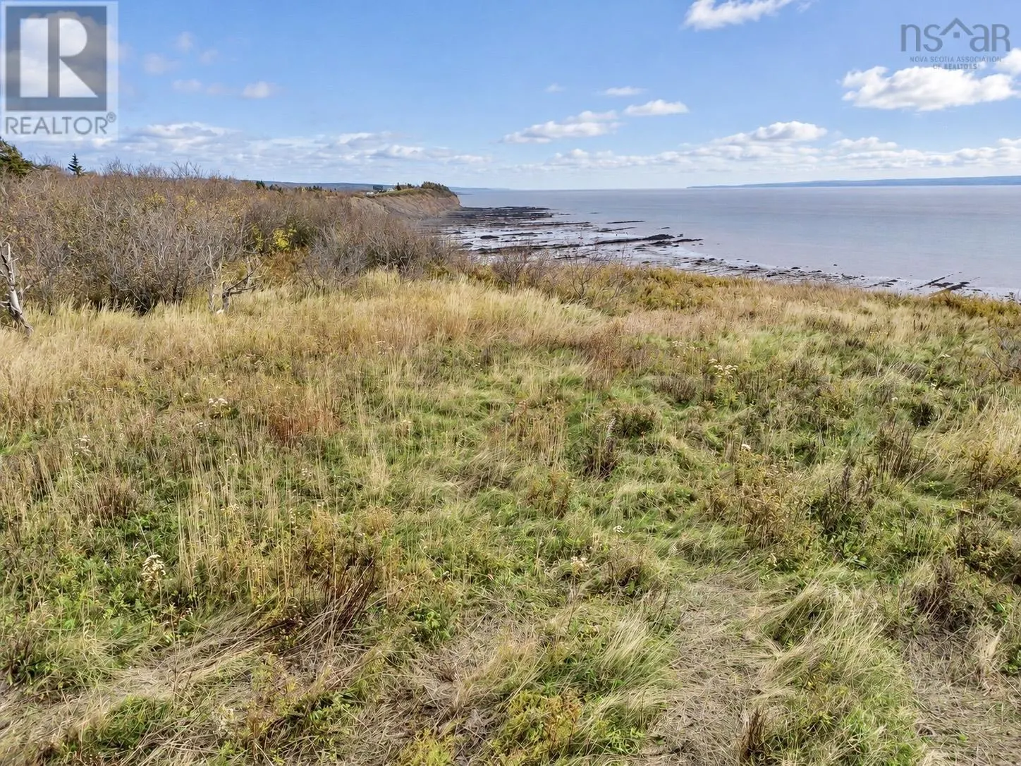 345 Lower Cove
