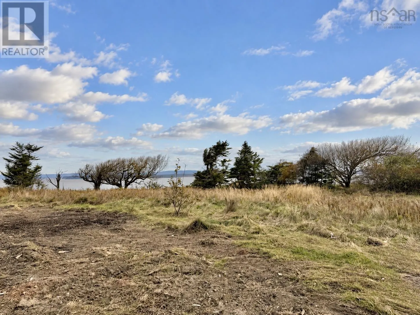 345 Lower Cove