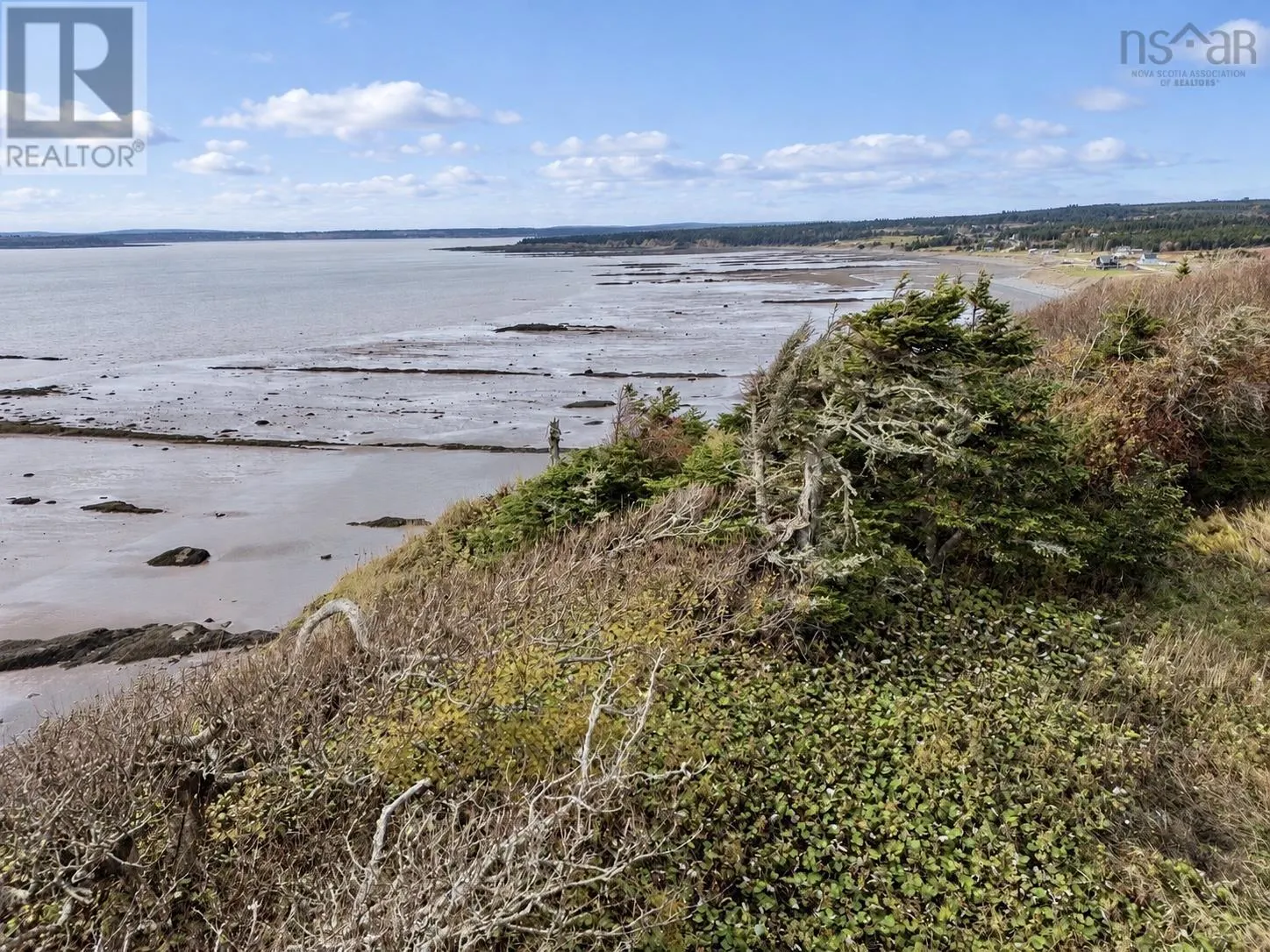 345 Lower Cove