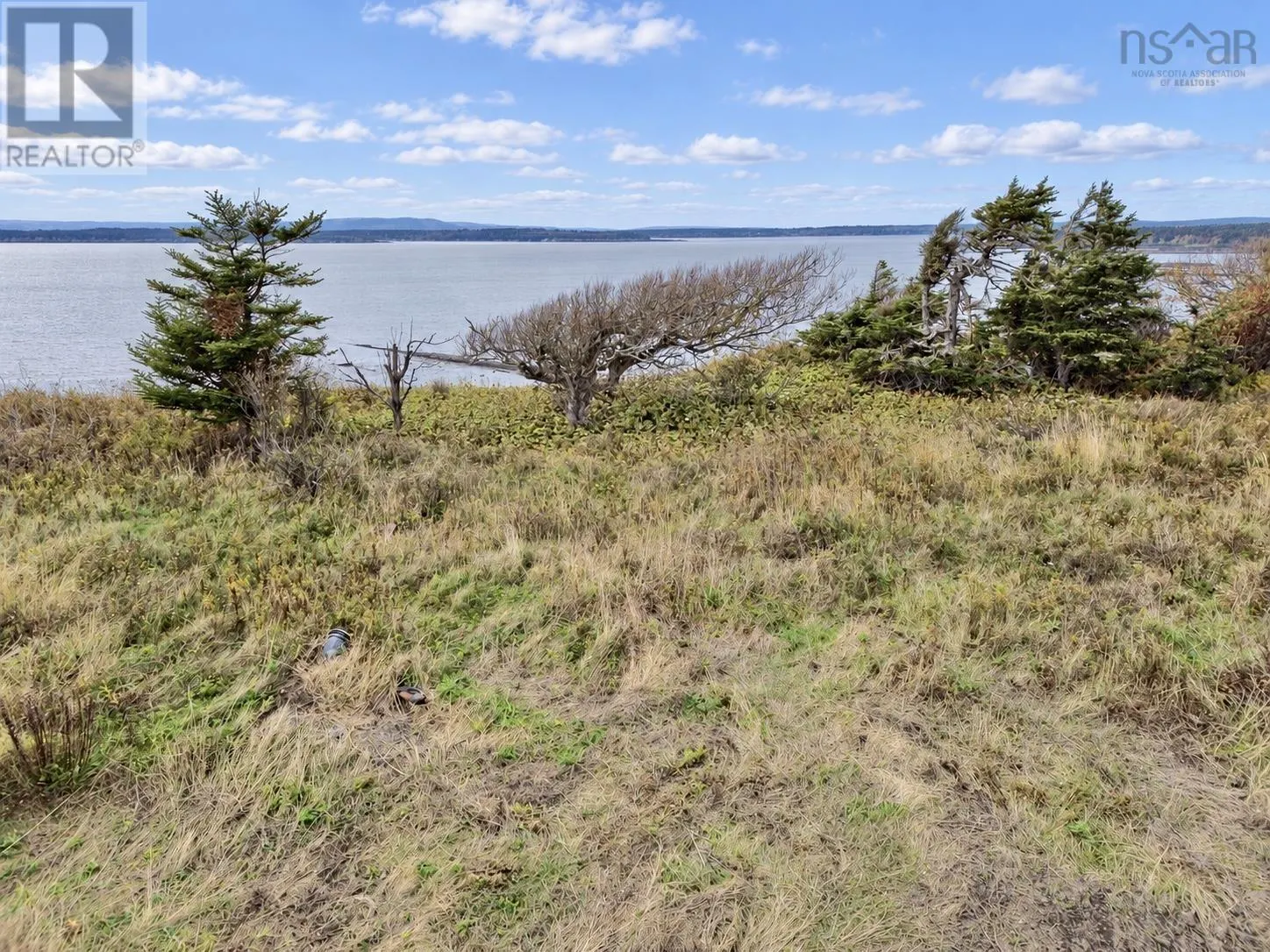 345 Lower Cove