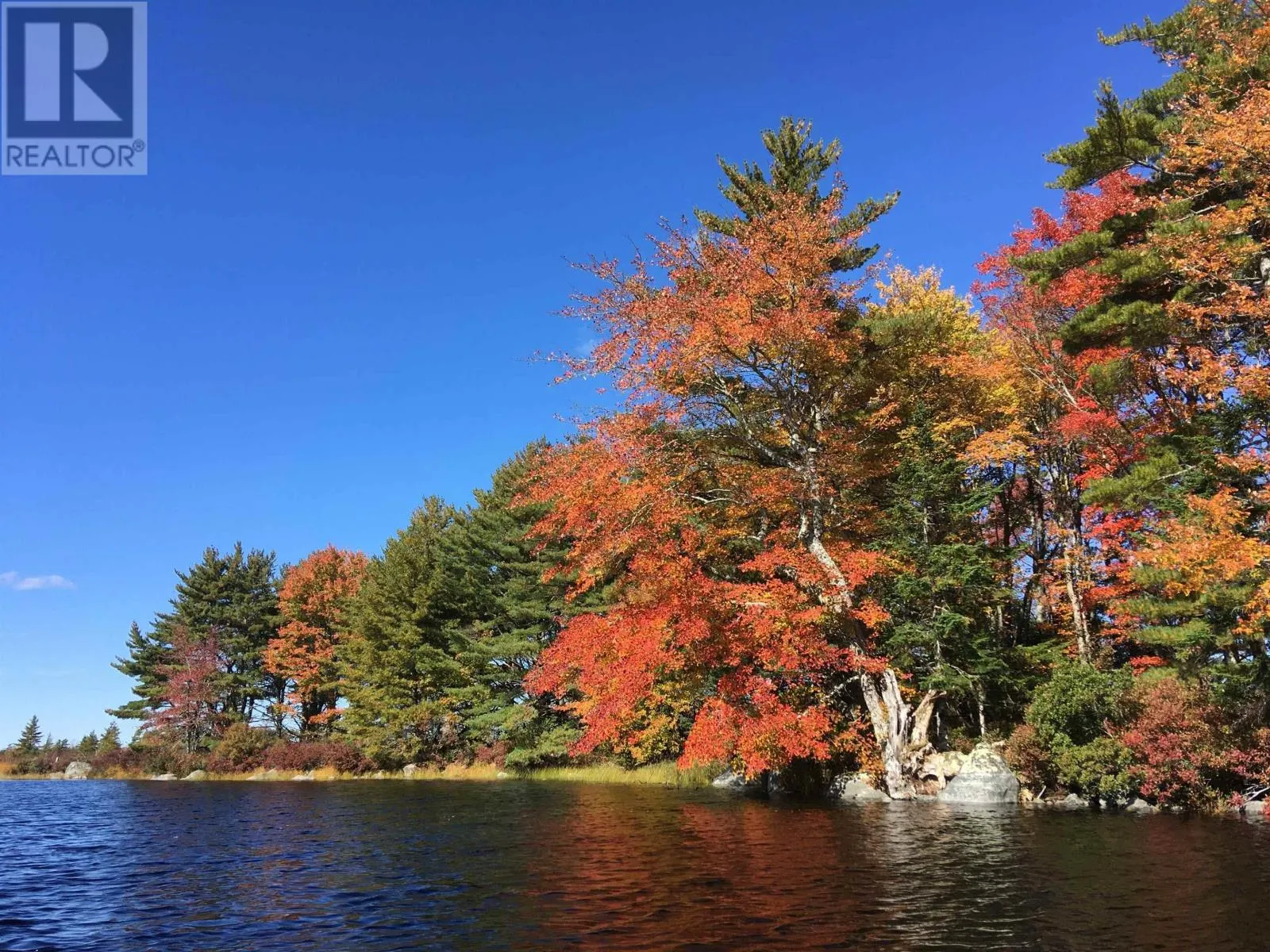 Back Lake Road