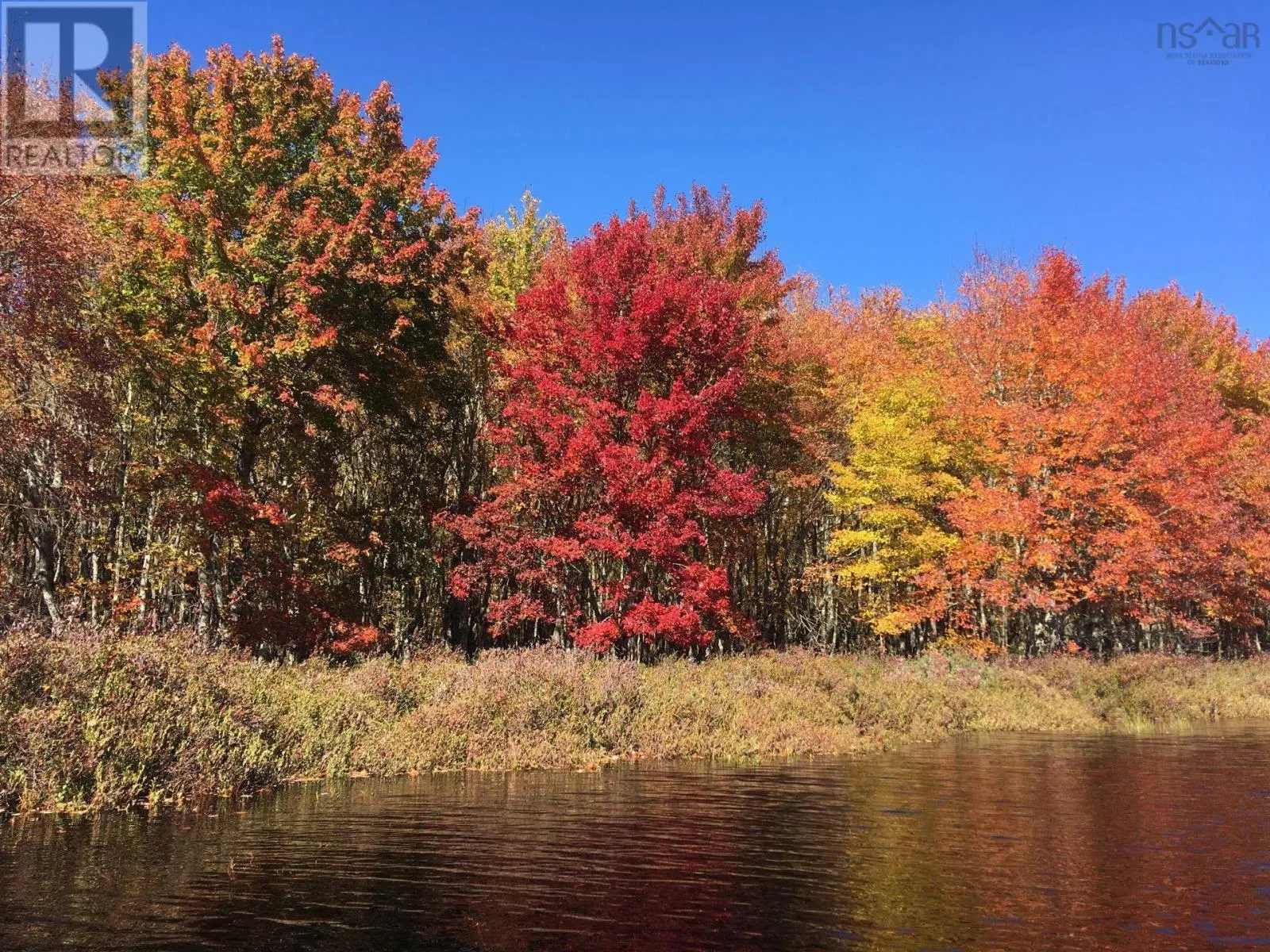 Back Lake Road