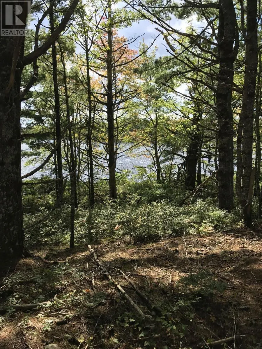 Back Lake Road