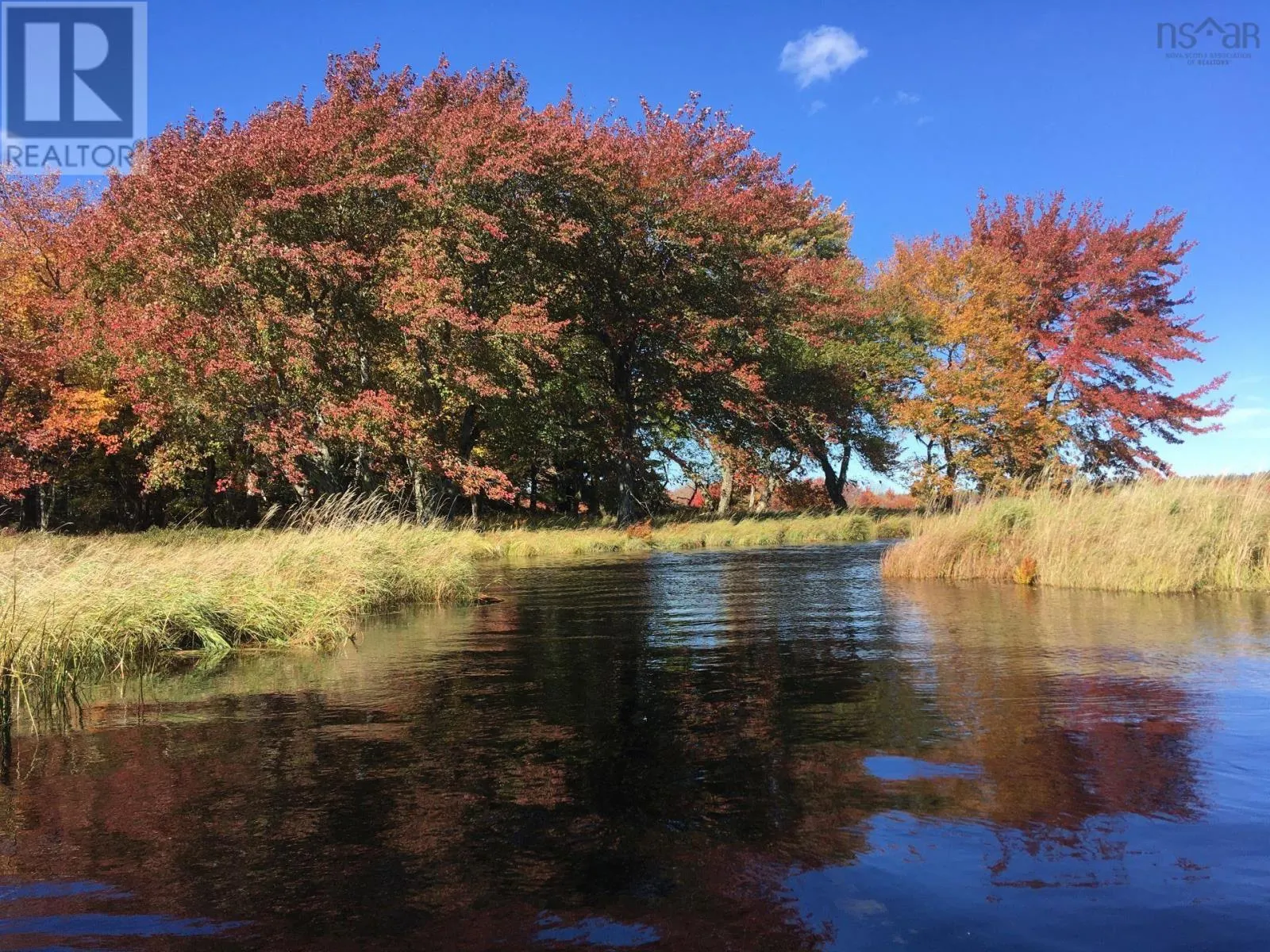 Back Lake Road