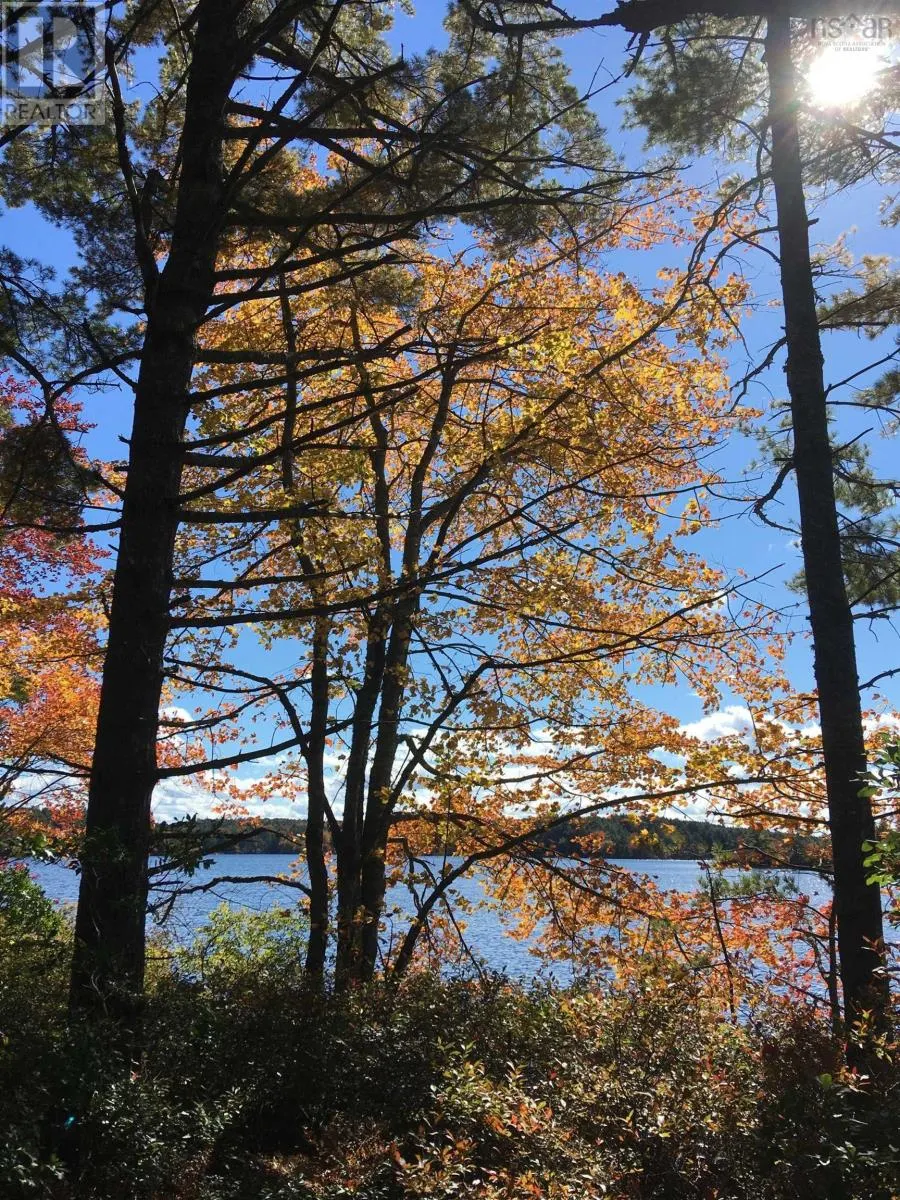Back Lake Road