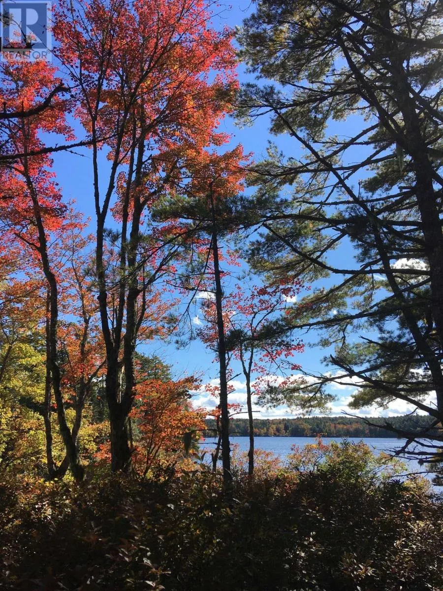 Back Lake Road