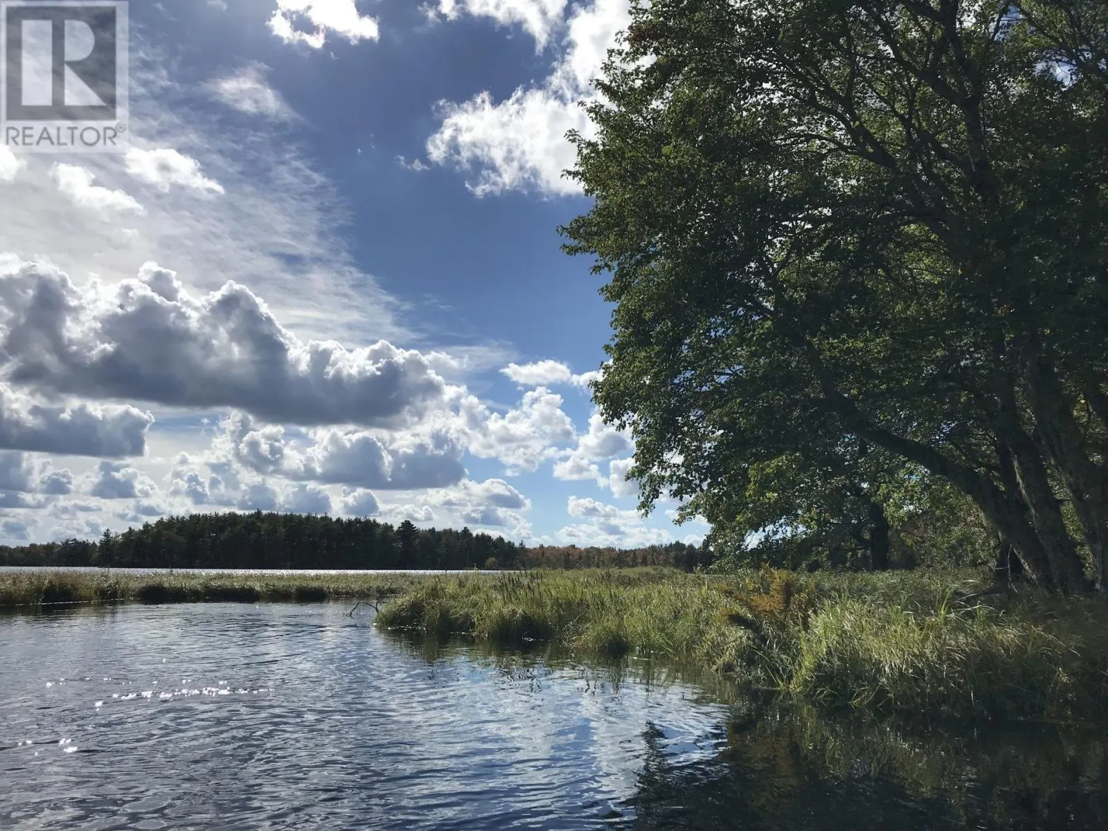 Back Lake Road
