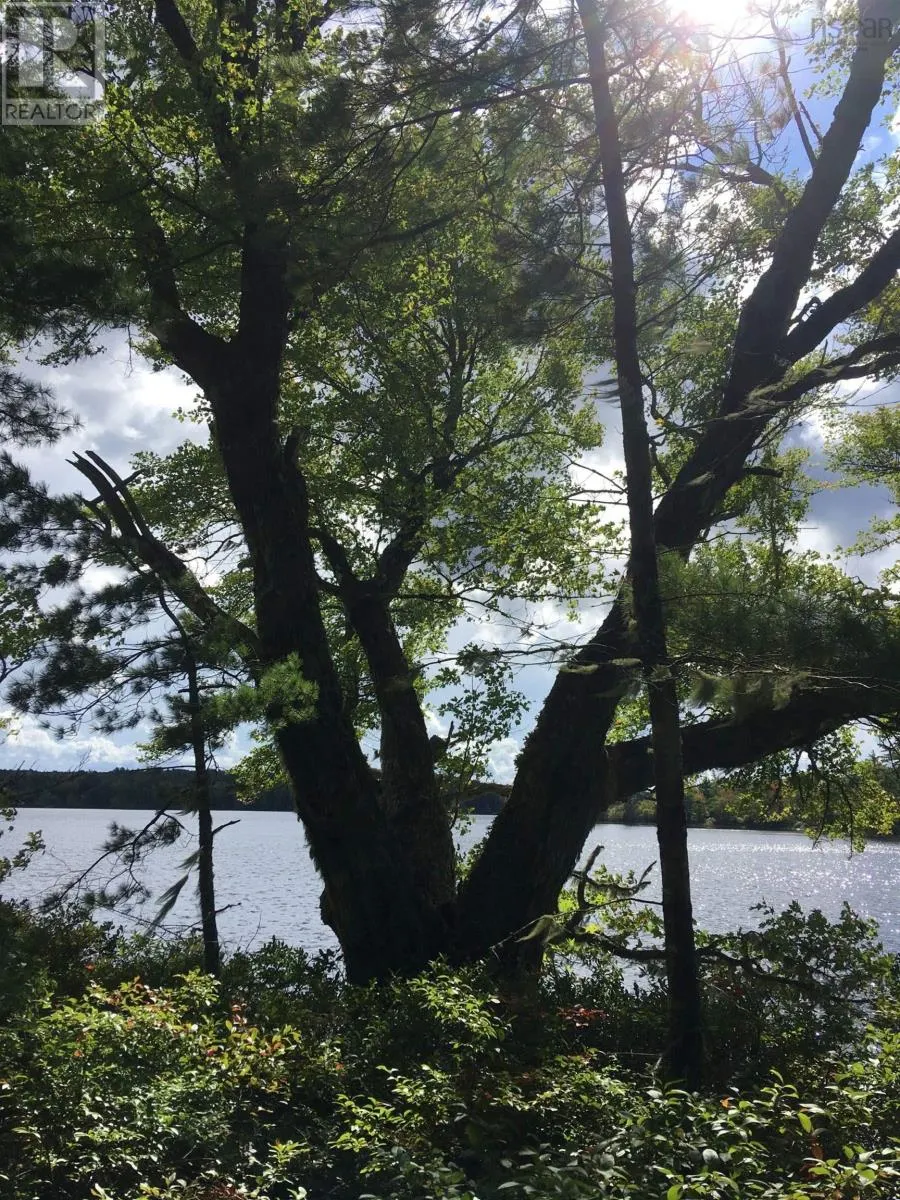Back Lake Road
