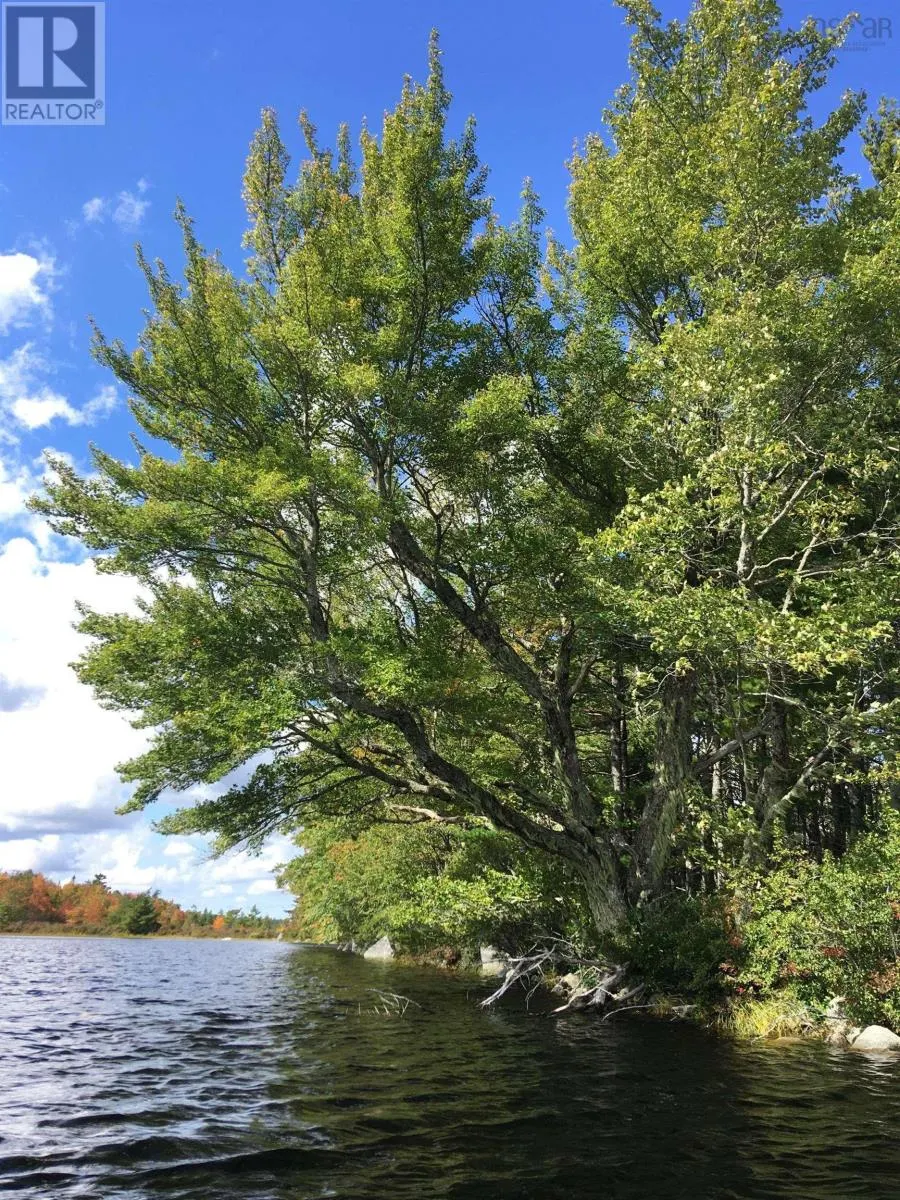 Back Lake Road