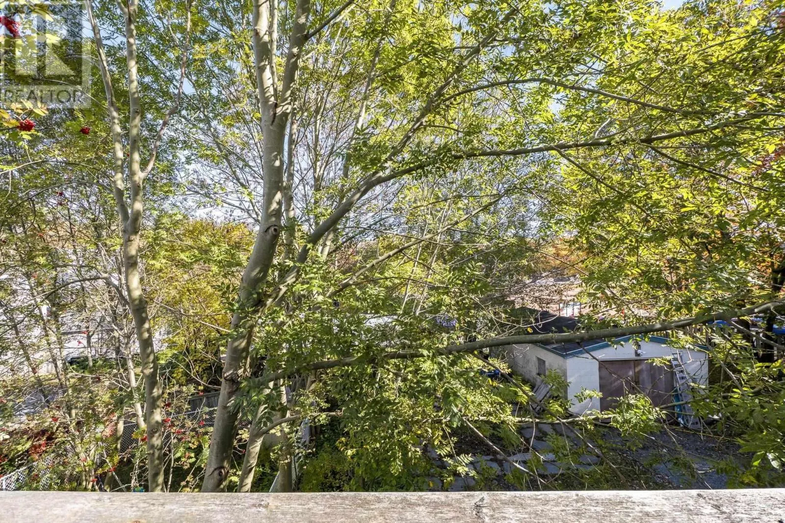 23 Prince Albert Road