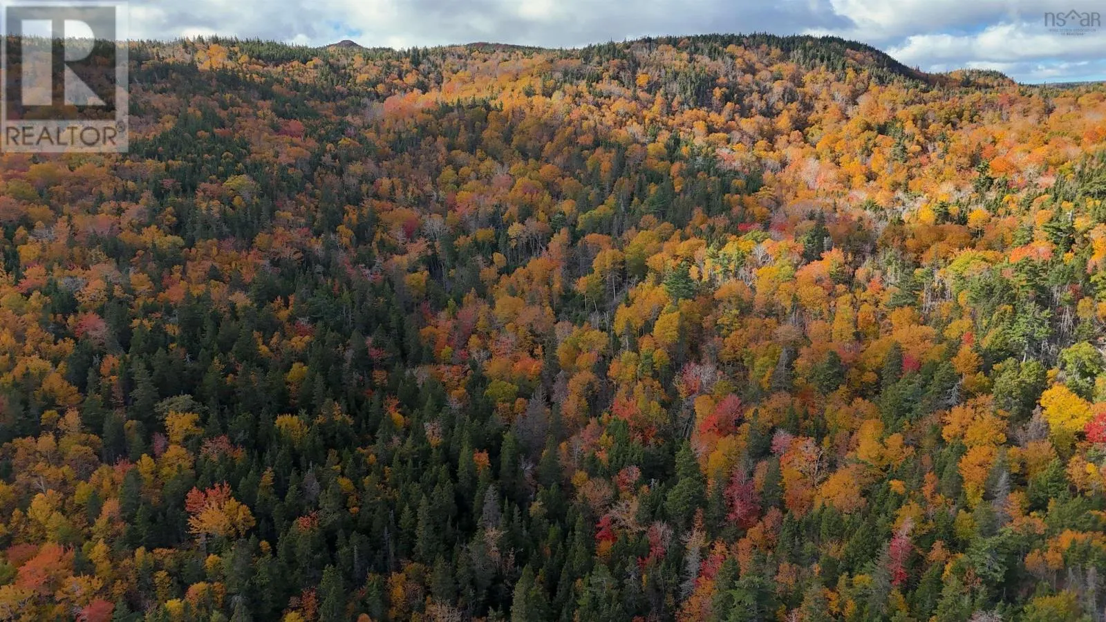 Cabot Trail