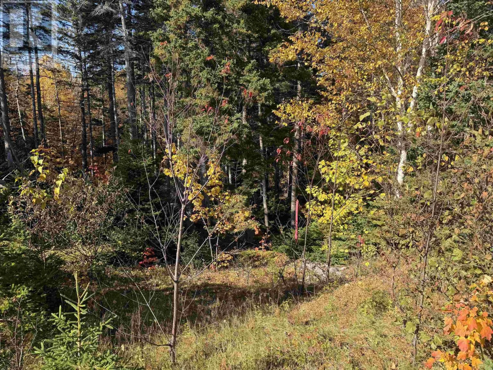 Cabot Trail