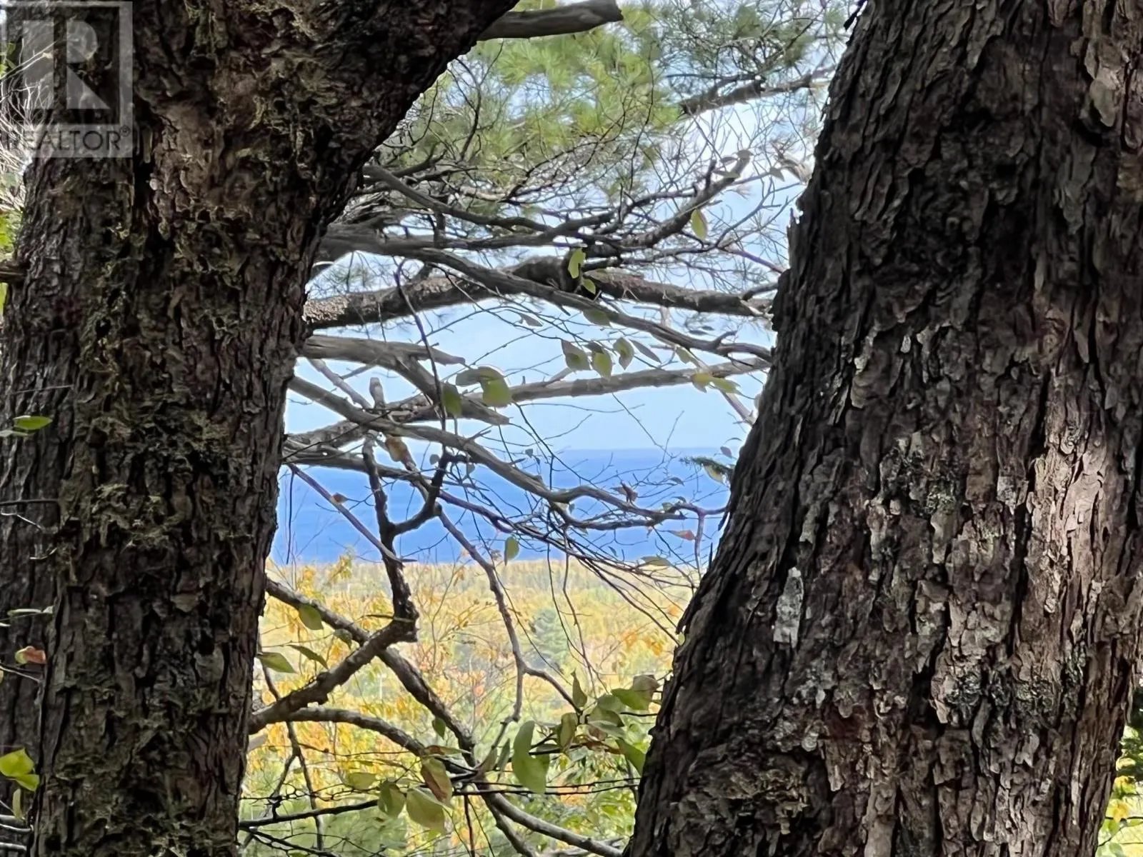 Cabot Trail