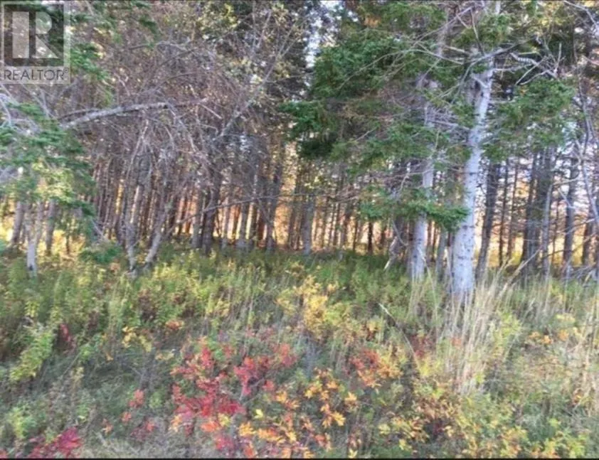 Lot 0 Kempt head Road