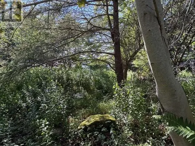 Lot 3 Sandy Cove Rd.