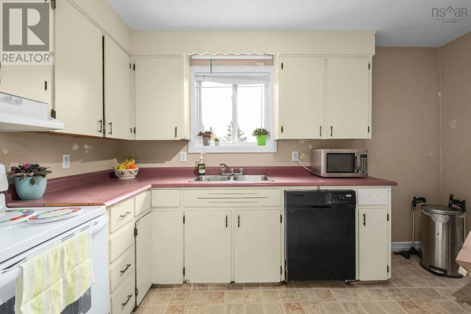 559 Cow Bay Rd