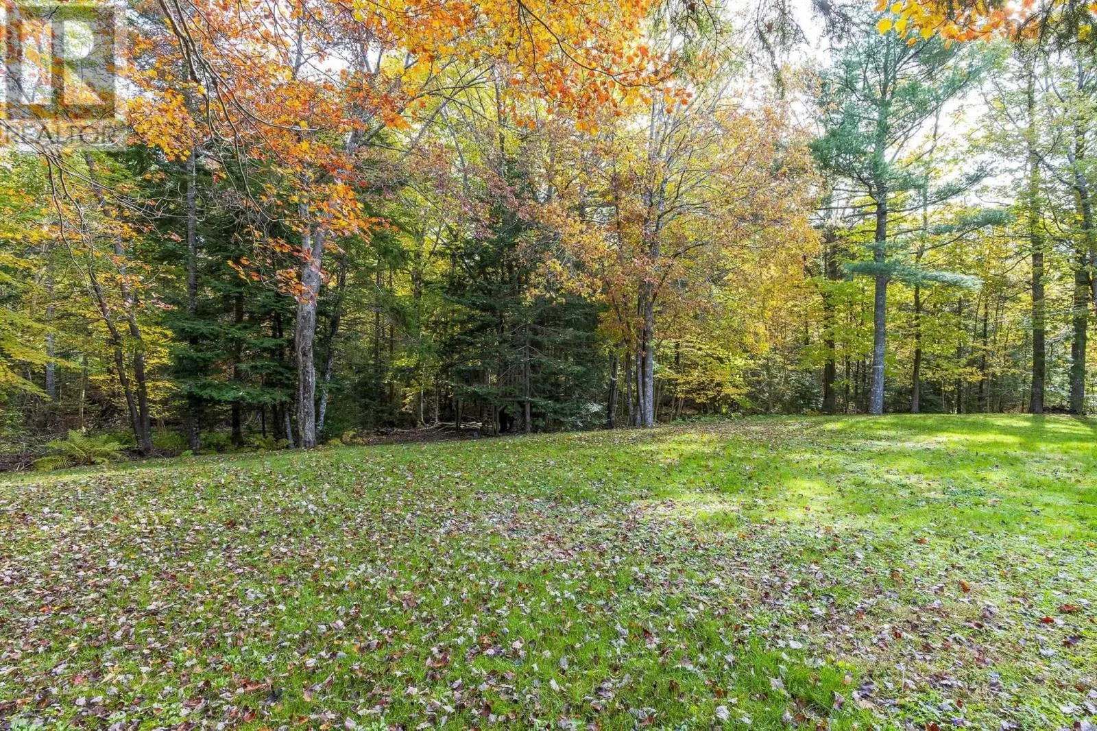 14 Beech Hill Drive
