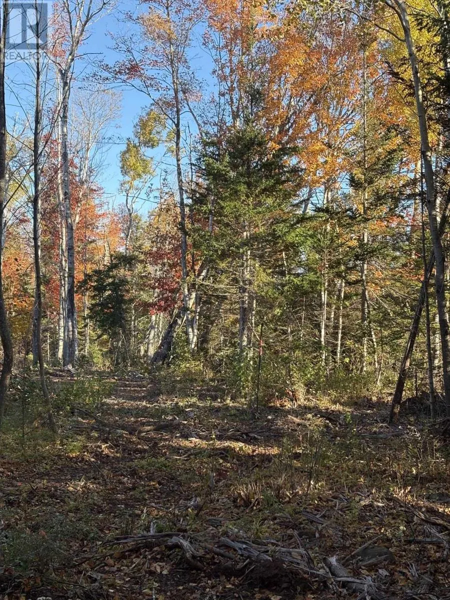 Lot 3-25 BLUE SEA Road