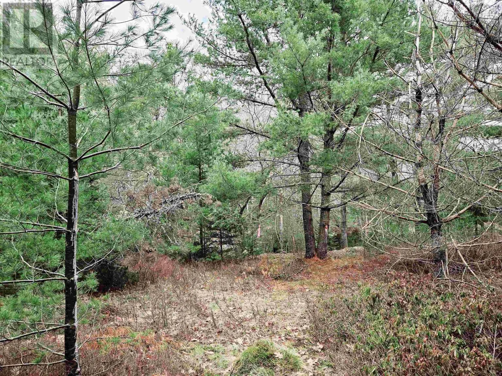 Lot 13 Maple Drive Drive