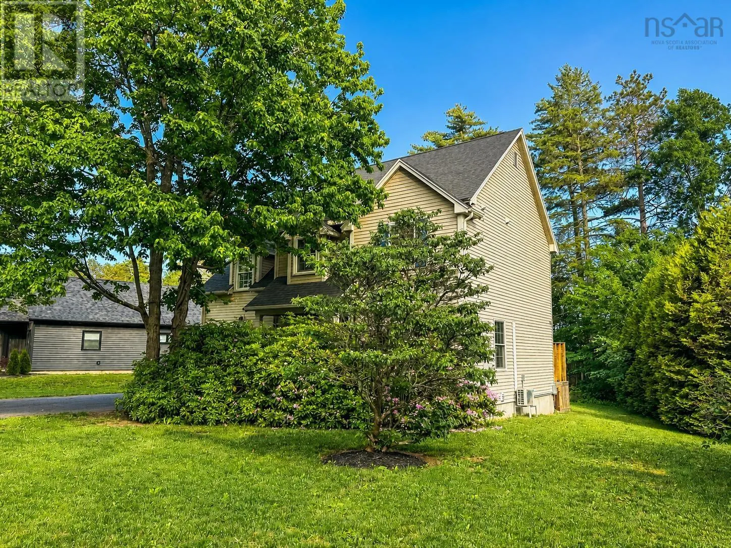 89 Terra Nova Drive