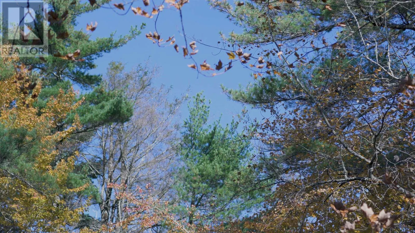 Lot 3 Maple Drive