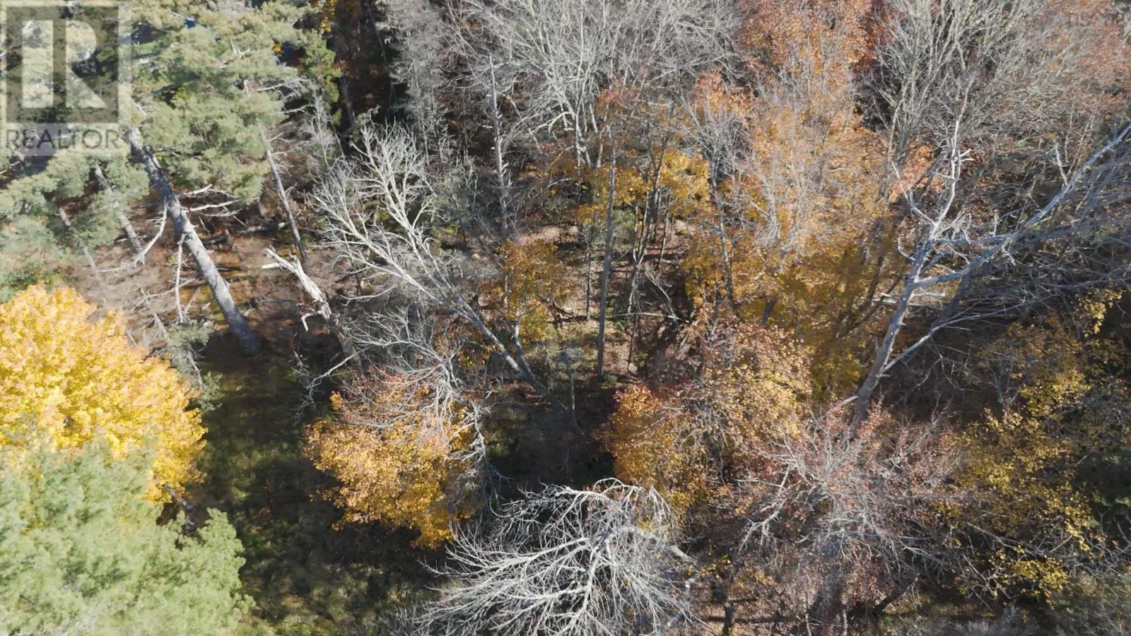 Lot 3 Maple Drive