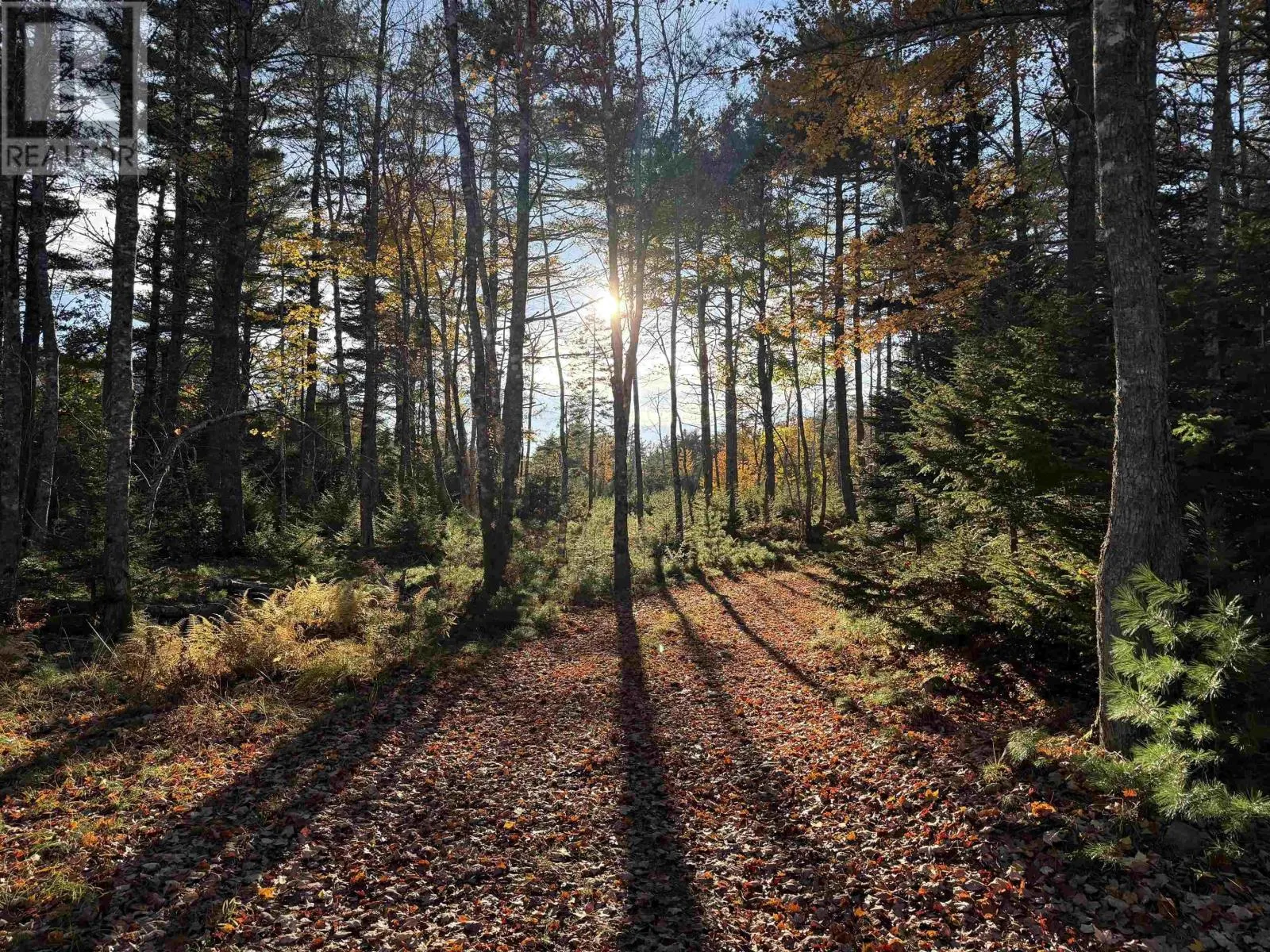 Lot 3 Sleepy Hollow Road