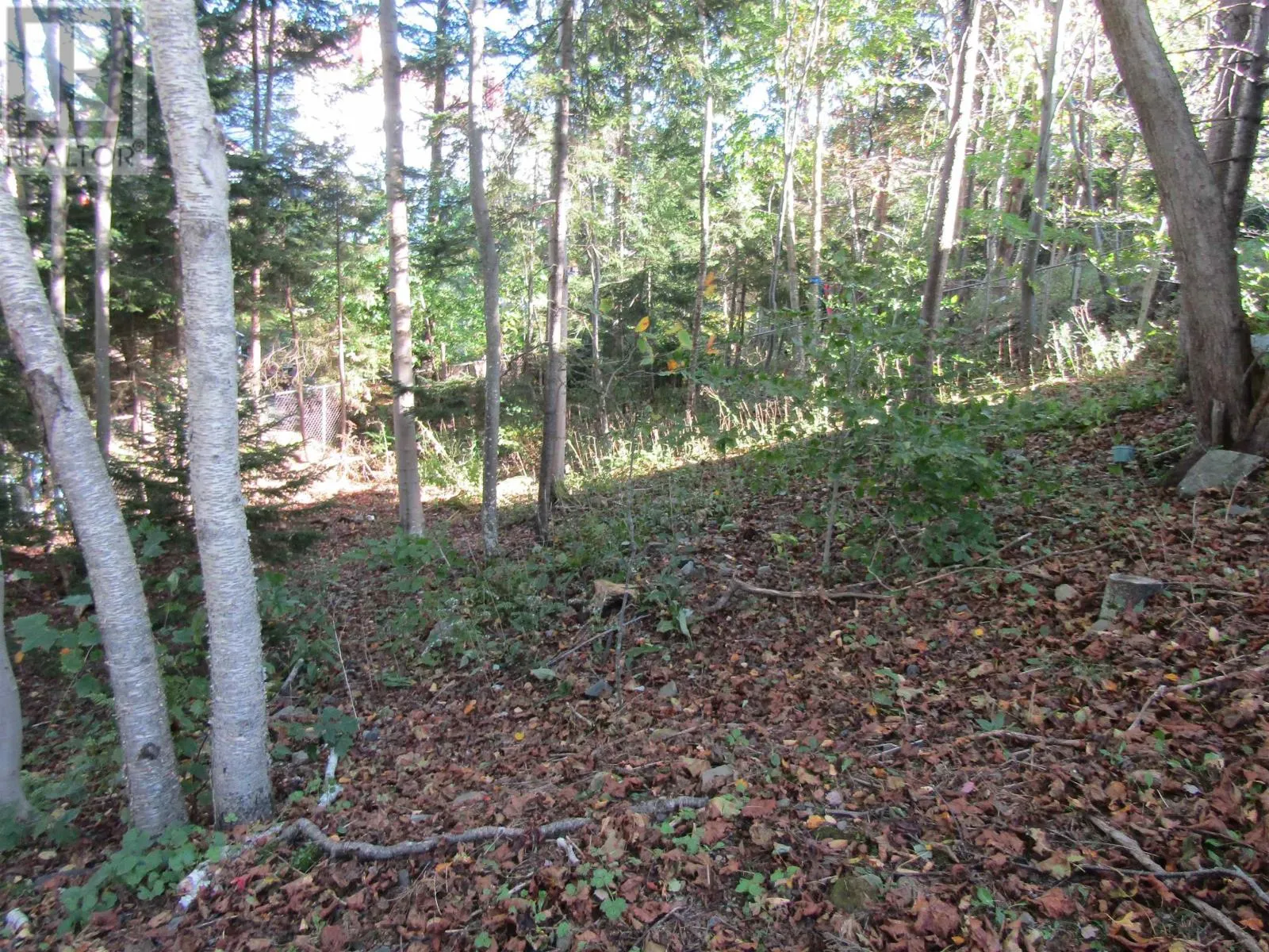 10 Amberwood Court