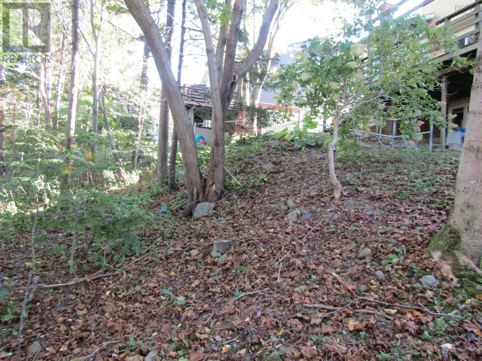 10 Amberwood Court