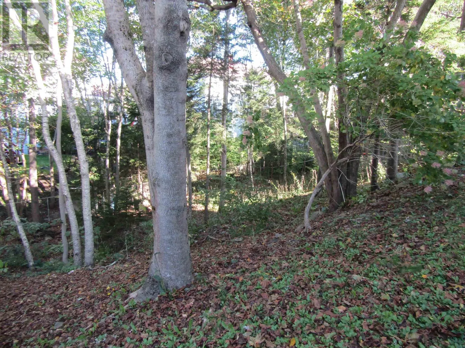10 Amberwood Court