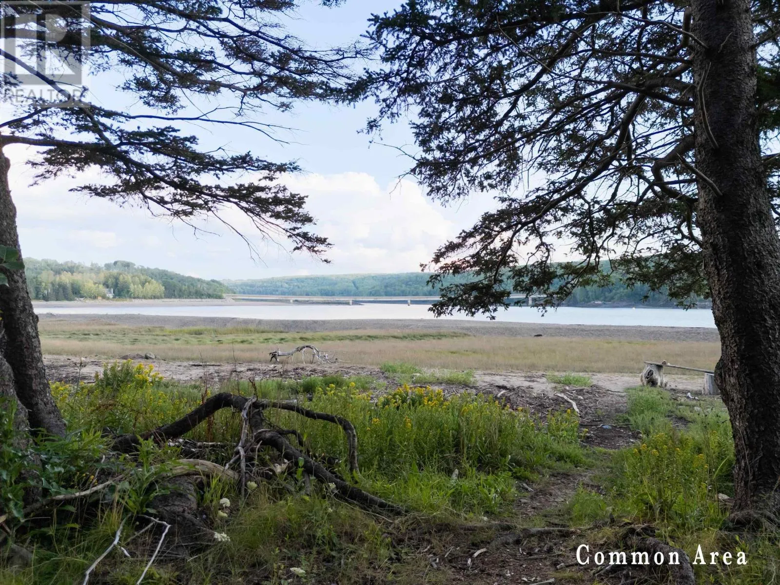 24 Colonial Arms Drive