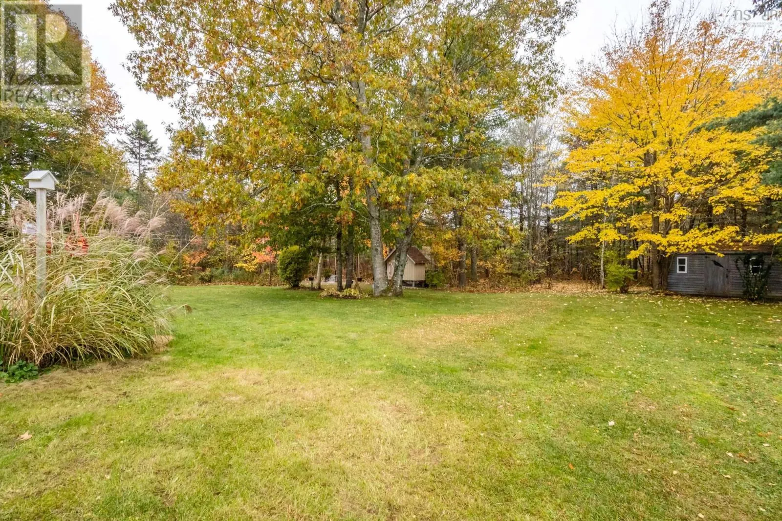 203 Belle Drive