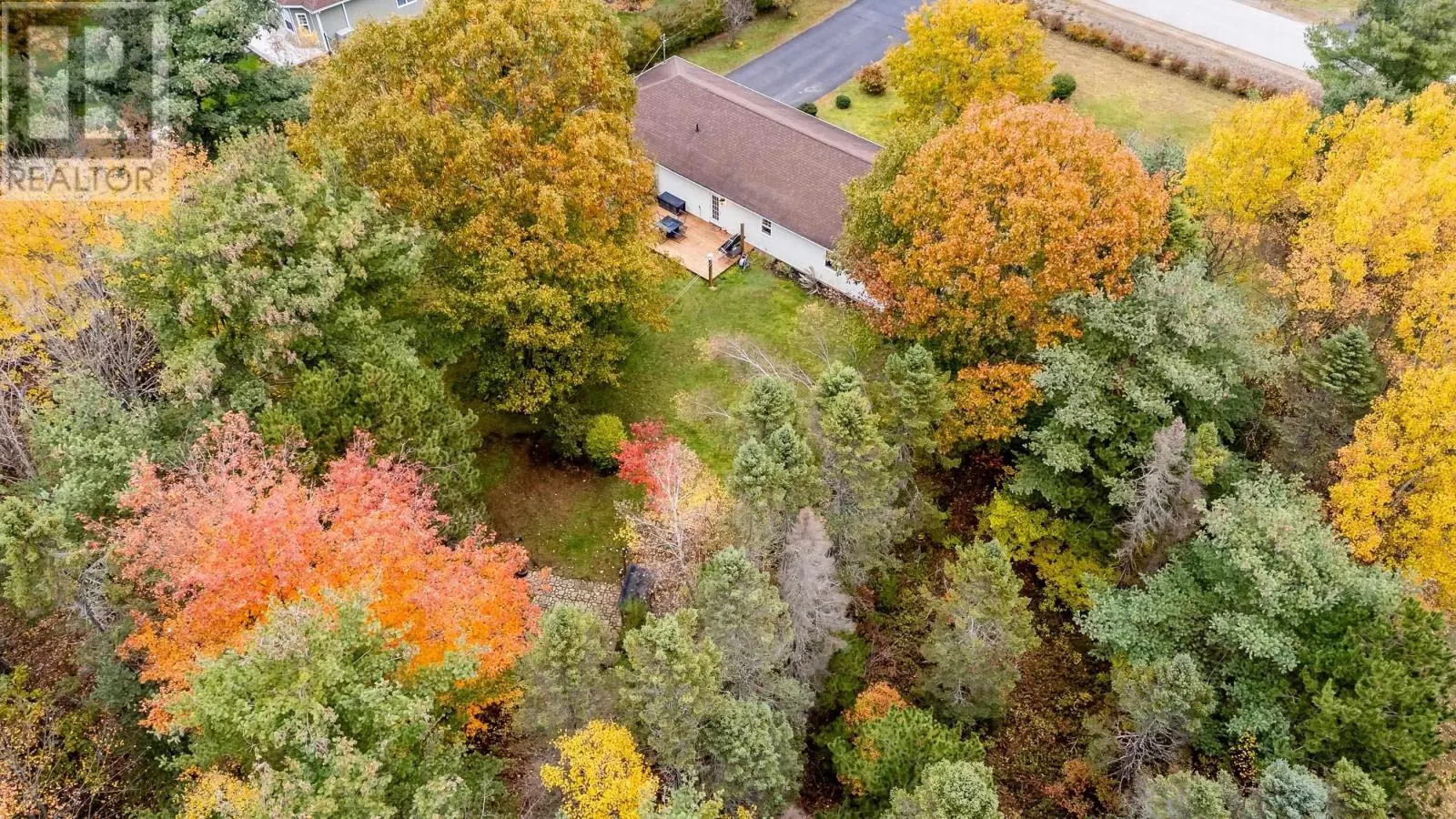 203 Belle Drive