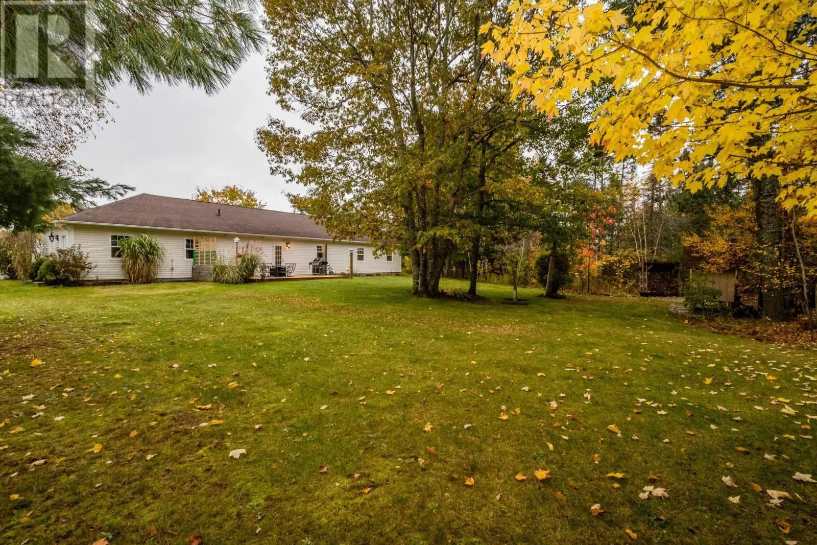 203 Belle Drive