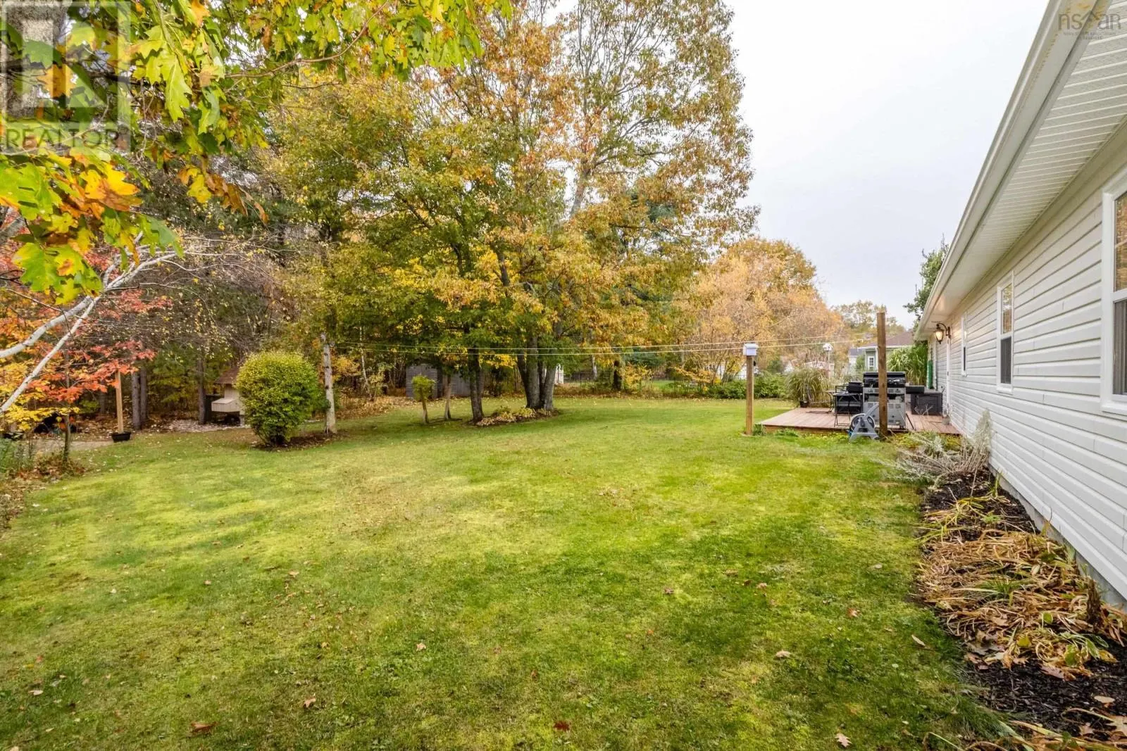 203 Belle Drive